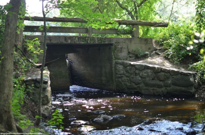 Close-up of dam at Longfellow Pond (Photo taken by Tycho McManus in July 2013)