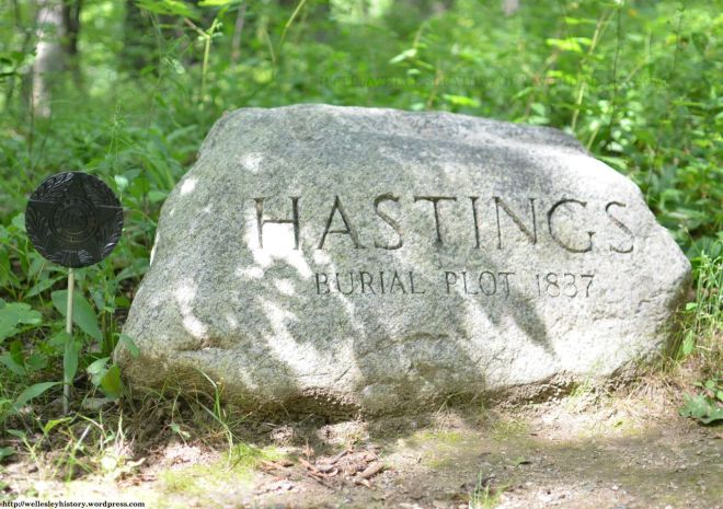 Hastings burial plot (Photo taken by Tycho McManus in July 2013)