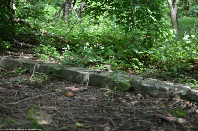 Ruins of the ice house (?)  (Photo taken by Tycho McManus in July 2013)